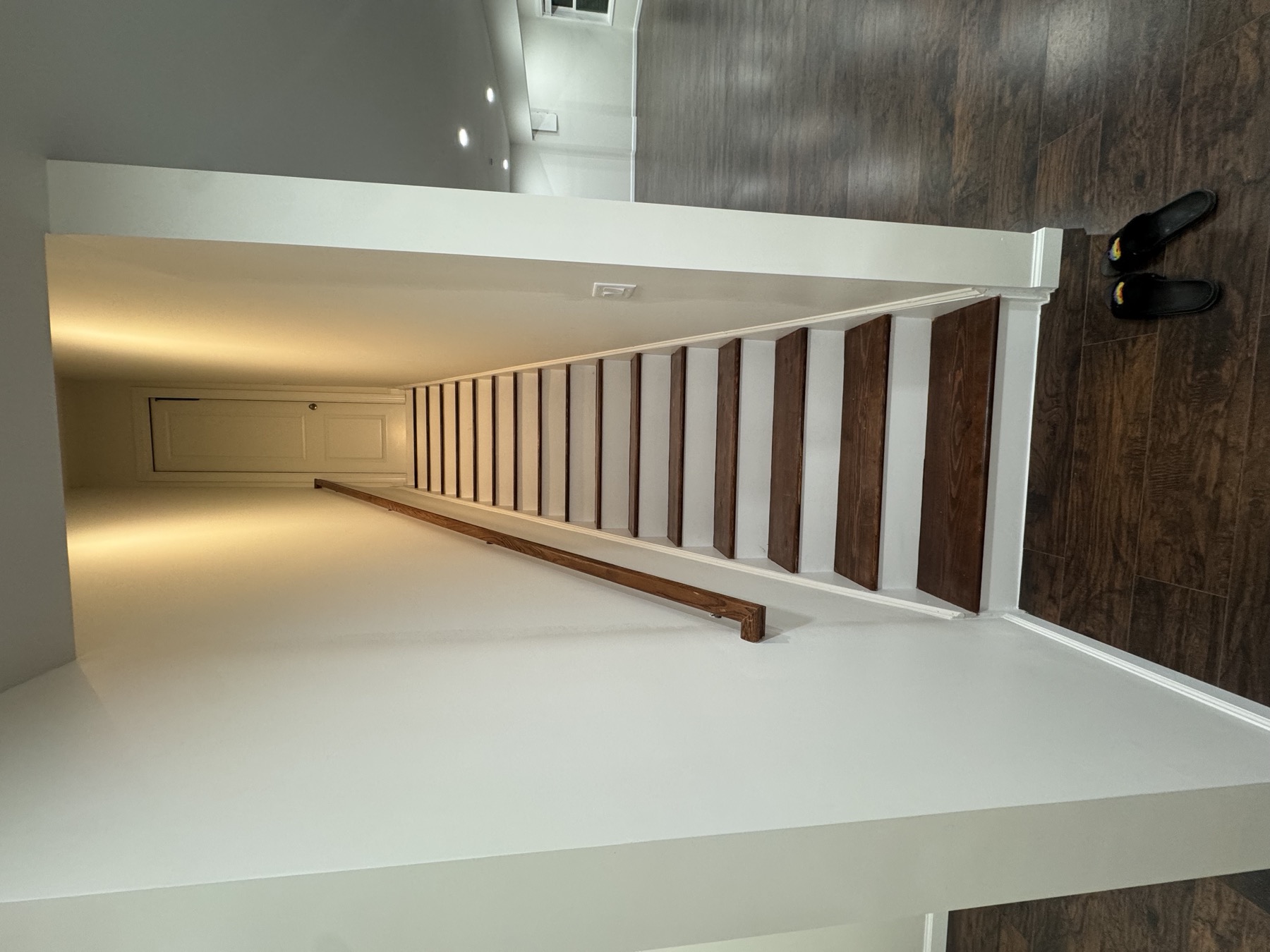 Finished basement living space