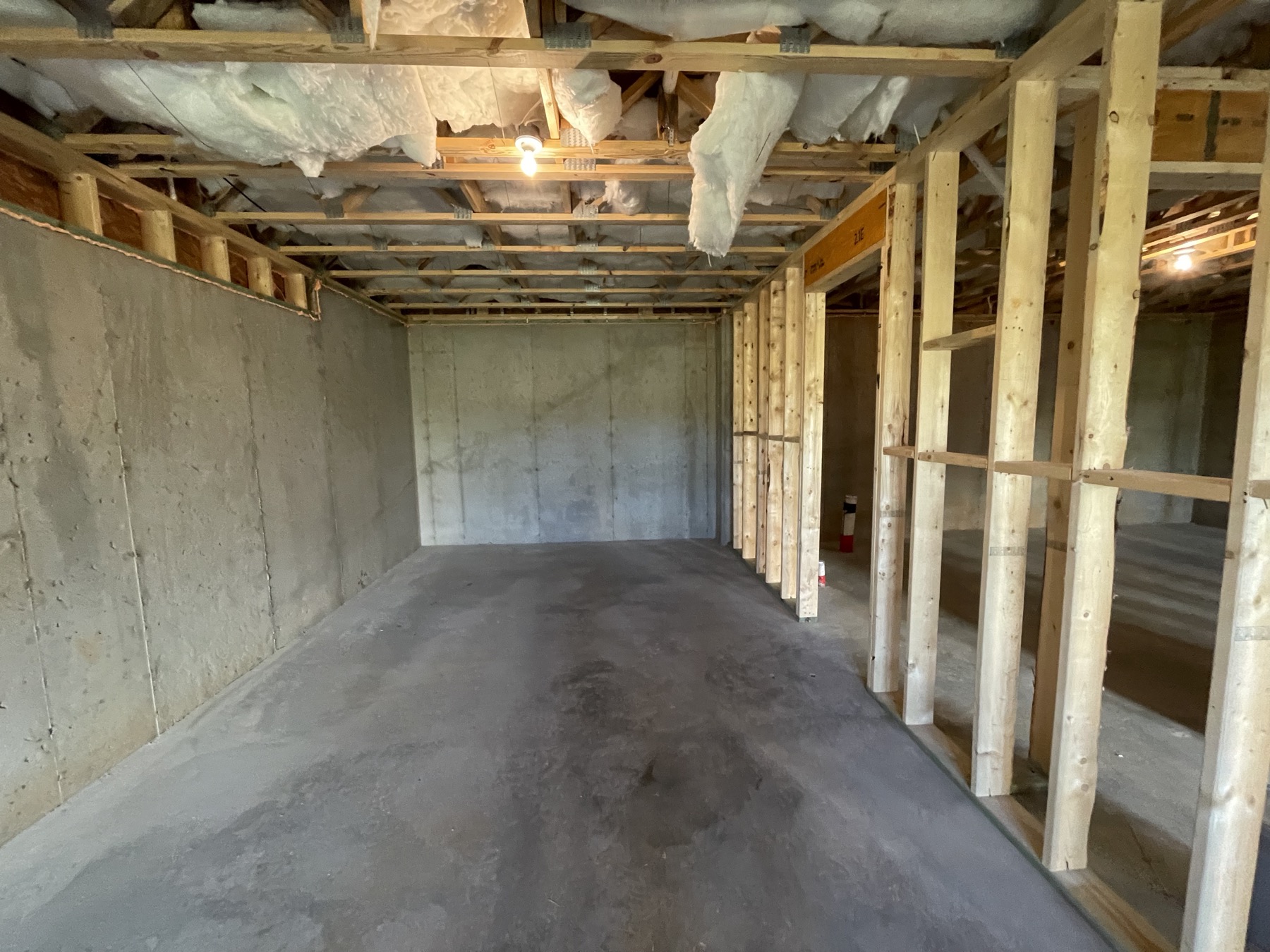Unfinished basement room with storage